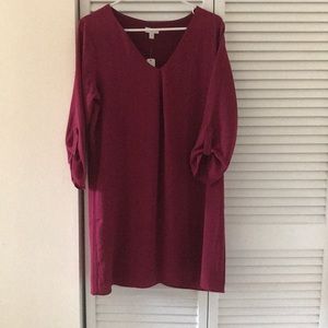 Charming Charlie Dress, NWT!